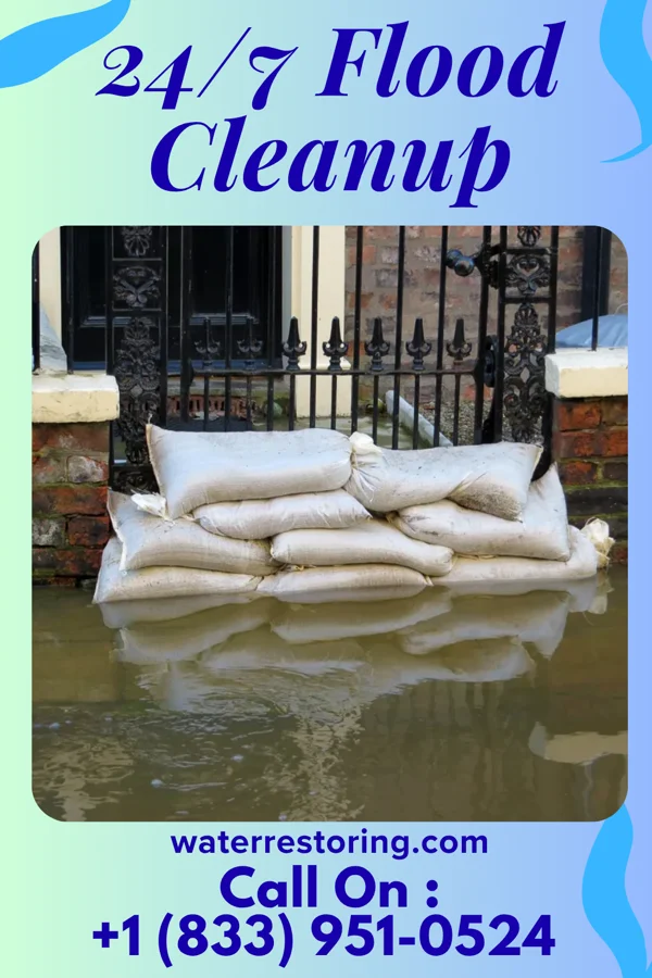 24/7 Flood Cleanup in Santa Claus, IN