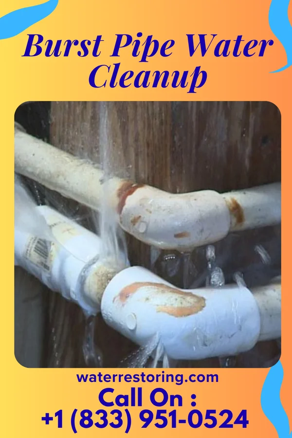Burst Pipe Water Cleanup in Santa Claus, IN