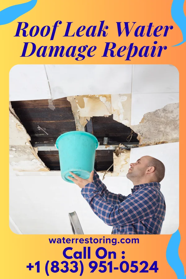 Roof Leak Water Damage Repair in Santa Claus, IN