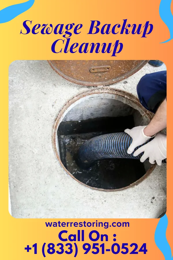 Sewage Backup Cleanup in Santa Claus, IN